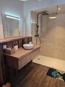 a bathroom with a sink and a glass shower at Bergerie en plein nature - SPA PRIVATIF in Le Lonzac