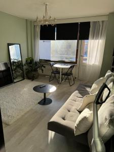 TV a/nebo společenská místnost v ubytování Kauniit yksiöt, 600m keskustaan, free park