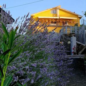 Zahrada ubytování B&B Mare e Monti