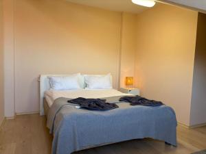 Ένα ή περισσότερα κρεβάτια σε δωμάτιο στο Bansko Spomar