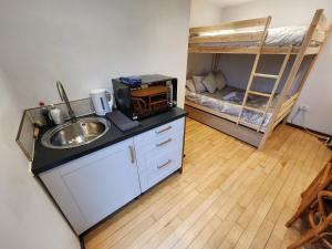 una cucina con lavandino e un letto a castello di The Nightly Stay - Studio Cabin a Guildford