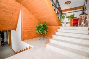 Fotografia z galérie ubytovania Apartamenty Pod Tatrzańskim Niebem v Zakopanom