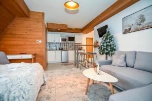 Kuchyňa alebo kuchynka v ubytovaní Apartamenty Pod Tatrzańskim Niebem