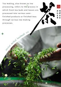 大理Dali Buxianshan Boutique Guesthouse-in Dali ancient city,near three pag odas and erhai lake,provide tour guide service and local experience的相册照片