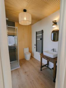 a bathroom with a sink and a toilet and a mirror at Maisons du lac in Écollemont +26 photos