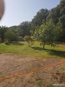 an orange string tied to a tree in a field at Bonifacio tranquillité paradis in SantʼAmanza