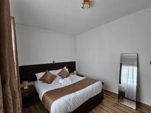ein Schlafzimmer mit einem großen Bett und einem Spiegel in der Unterkunft orana homes II in Ruiru