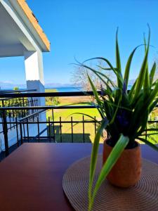 A balcony or terrace at Ever Green beach Apartments Még 22 kép