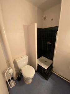 ein kleines Badezimmer mit Toilette und Dusche in der Unterkunft Charmant studio à Laguiole avec vue montagne 27 m² in Laguiole + 8 Fotos