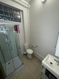 a bathroom with a toilet and a shower and a sink at ALBI Chambres in Albi