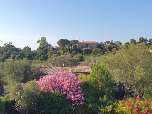 a house in the midst of trees and flowers at Maison typique corse pour 4 personnes in Zonza