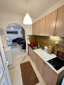 Una cocina o cocineta en Micic Apartment 1 Divcibare