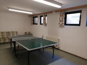 Tenis stołowy w obiekcie Ferienhof zur Sonne lub pobliżu