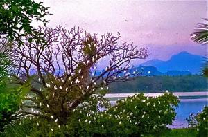 Fotografie z fotogalerie ubytování Lake Front v destinaci Ibbagomuwa + 8 fotografií