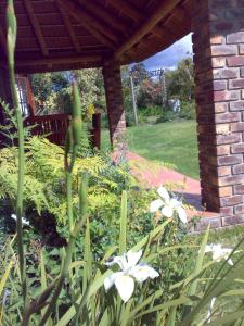 Zahrada ubytování Coral Tree Cottages