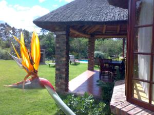 Zahrada ubytování Coral Tree Cottages