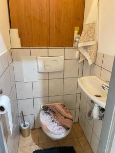 Koupelna v ubytování Apartmán Orlické hory