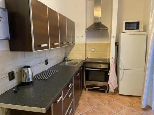 Kuchyň nebo kuchyňský kout v ubytování Apartmán Orlické hory