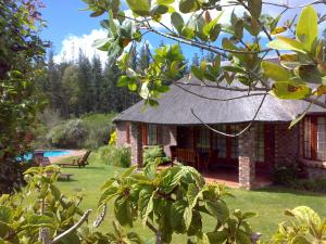 Zahrada ubytování Coral Tree Cottages
