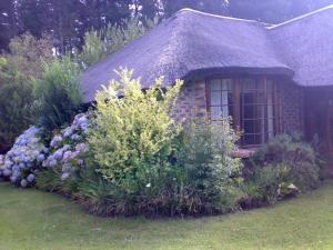 Zahrada ubytování Coral Tree Cottages