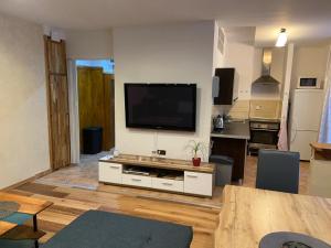 TV a/nebo společenská místnost v ubytování Apartmán Orlické hory
