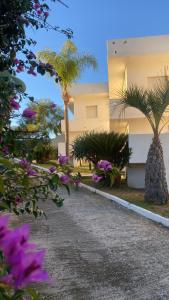 una pasarela frente a un edificio con palmeras en Il Giardino Apartments - Peaceful atmosphere and free parking -, en Capo Vaticano