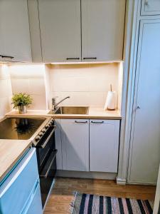 een keuken met witte kasten en een spoelbak bij Eskolampi in Helsinki