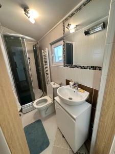 a bathroom with a sink and a toilet and a shower at Micic Apartment 2 Divcibare in Divčibare
