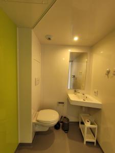 a bathroom with a toilet and a sink at Gîte 43 - Le Saint André in Saint-André-de-Chalencon