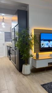 TV a/nebo společenská místnost v ubytování Pebbles Nest