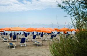 ein paar Stühle und orangefarbene Sonnenschirme am Strand in der Unterkunft Grand Hotel Helios in Tarquinia