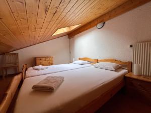 VionnazにあるAppartements 3 chambresのベッドが2つあり、天井が木製の寝室