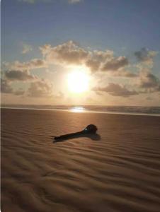 a object laying on the beach with the sun in the background at Casa Amar in Barra dos Coqueiros