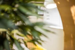 a blurry picture of a light in a room with plants at Aparthotel Nou Vielha in Vielha
