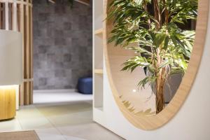 a mirror in a hallway with a plant at Aparthotel Nou Vielha in Vielha