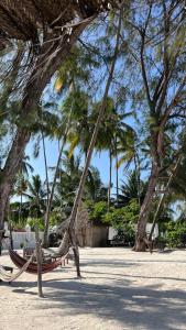 Fotografie z fotogalerie ubytování Seashore Beach hotel v destinaci Kiwengwa