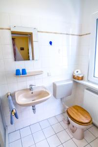 een badkamer met een wastafel, een toilet en een spiegel bij Pension-Rappteller in Apfelstädt