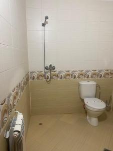 a bathroom with a toilet and a shower at Семеен хотел Балани in Gabrovo