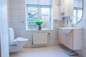 a bathroom with a toilet and a sink and a window at Hotel Palads Apartments in Viborg