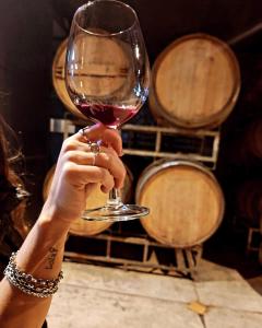 Nápoje v ubytování Casa Cortaderas