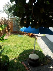 a blue umbrella sitting on top of a lawn at Bugambilia house in La Tinguiña