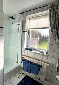 une salle de bain avec douche et banc avec serviettes bleues dans l'établissement Ferienhof-Wohler-Wohnung-5, à Bojendorf