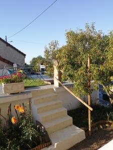 a set of stairs in a yard with a tree at Esprit de famille in Saint-Agnan-sur-Loire
