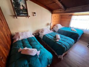 Postel nebo postele na pokoji v ubytování Cabañas y Hostal Isla Mágica