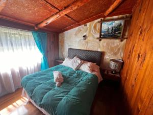 Postel nebo postele na pokoji v ubytování Cabañas y Hostal Isla Mágica
