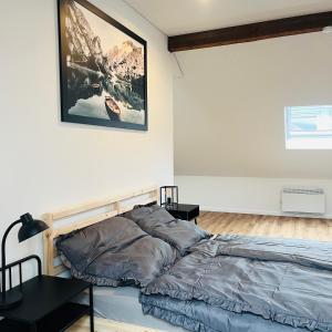 Gallery image of City Loft Apartment Bad Säckingen in Bad Säckingen