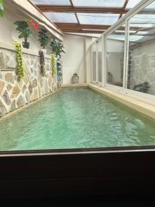 a large swimming pool with green water in a house at Palacito de la Rubia in Chinchón