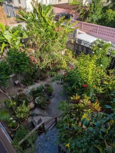 an overhead view of a garden with plants and flowers at Le Zalifat, jardin tranquille - proche aéroport in Pamandzi +7 photos