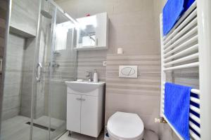 a bathroom with a toilet and a shower and a sink at White House & Jacuzzi in Sibiu
