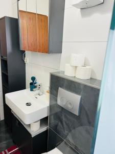 Kuchyň nebo kuchyňský kout v ubytování Birgeler Home